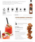 1883 Caramel Syrup Leaflet 