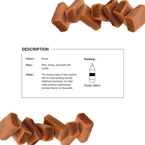 1883 Maison Routin Caramel Sauce (500ml)