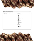 1883 Maison Routin Chocolate Hazelnut Sauce (500ml)