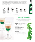 1883 Maison Routin Green Mint Syrup Recipe