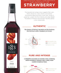 1883 Maison Routin Strawberry Syrup Specification
