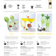 1883 Maison Routin Yuzu Lemon Syrup Recipe