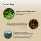 Twinings Darjeeling Tea Bags (40)