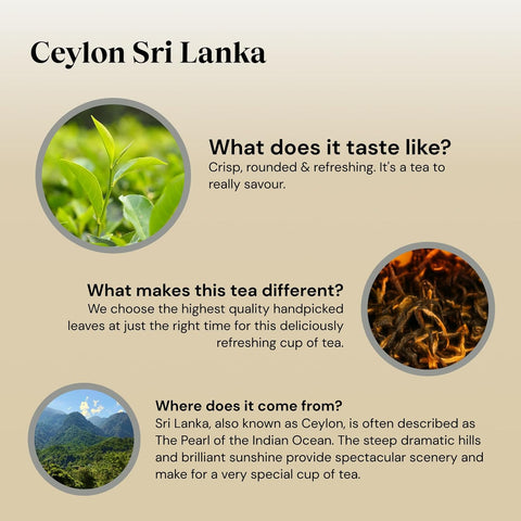 Twinings Ceylon Tea Bags (40)