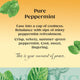 Twinings Pure Peppermint String Tag & Envelope Tea Bags (20)