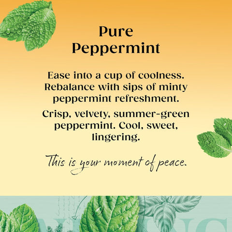Twinings Pure Peppermint String Tag & Envelope Tea Bags (20)