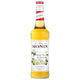 Monin Elderflower Syrup (700ml)