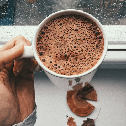 Hand holding a white mug filled with hot chocolate, with a blurred window background.