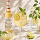 Hugo Spritz