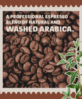 Lavazza Tierra Intenso 100% Arabica Coffee Beans