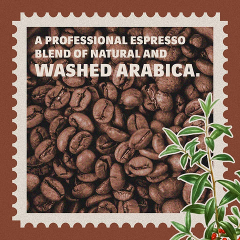 Lavazza Tierra Intenso 100% Arabica Coffee Beans
