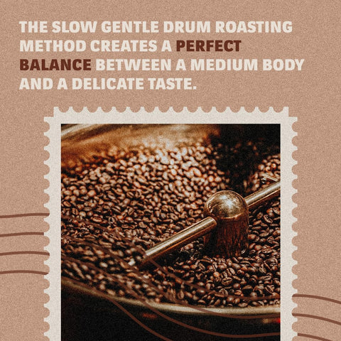 Lavazza Tierra Intenso 100% Arabica Coffee Beans