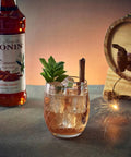 Monin Cinnamon Syrup