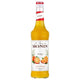 Monin Orange Syrup (700ml)