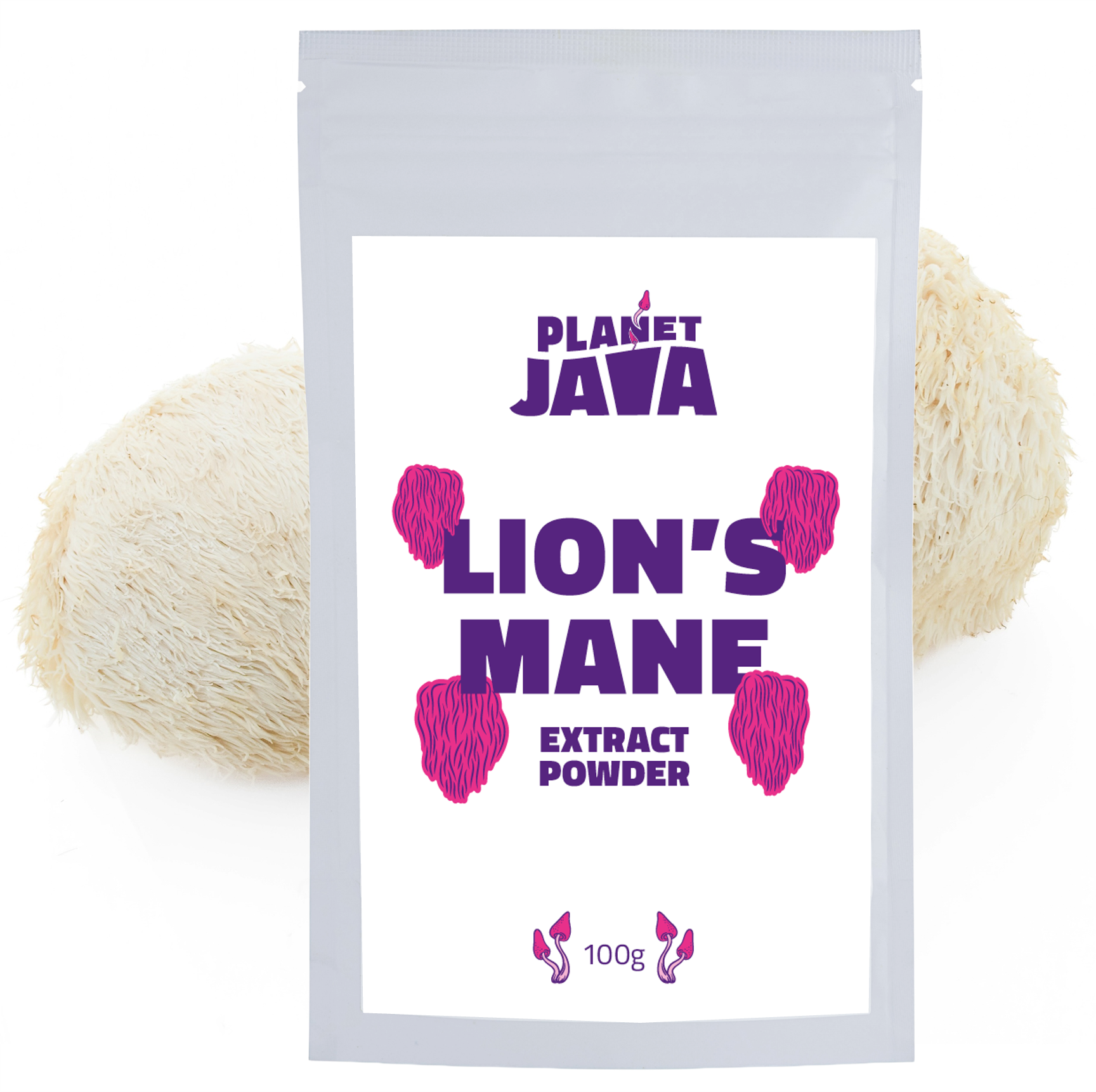 Planet Java Lion's Mane Extract | 100g Resealable Pouch – A1 Coffee