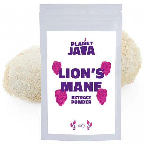 Planet Java Lion's Mane Extract 100g