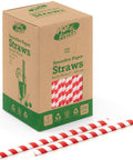 Red Striped Smoothie Paper Straws