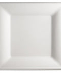 Disposable Square Plates