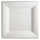 Disposable Square Plates